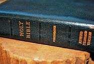 Holy Bible online